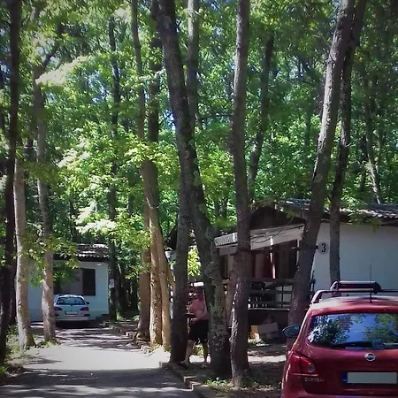 Dani Holiday park *
