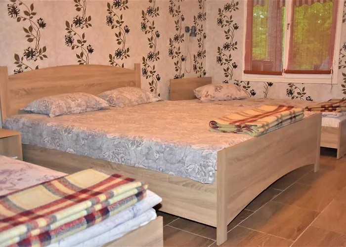 假日公园 达尼简易别墅酒店 *