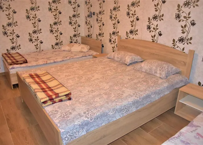 达尼简易别墅酒店 *