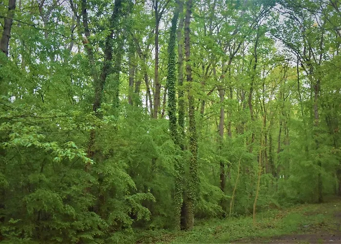 达尼简易别墅酒店 卡姆基亚