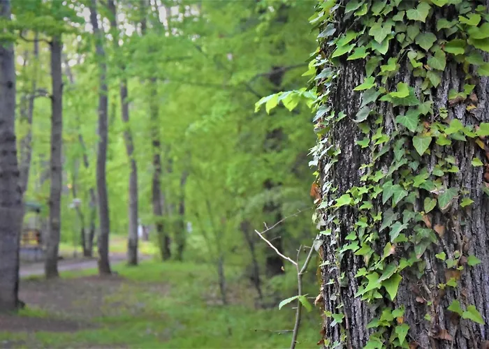 假日公园 达尼简易别墅酒店 卡姆基亚