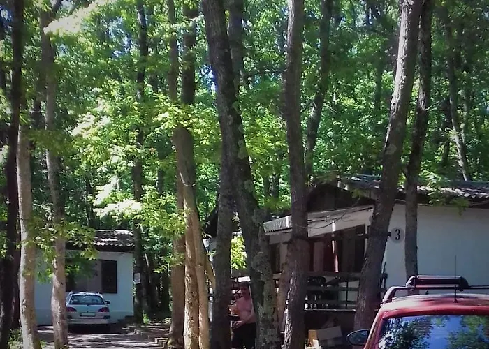 达尼简易别墅酒店 假日公园 *