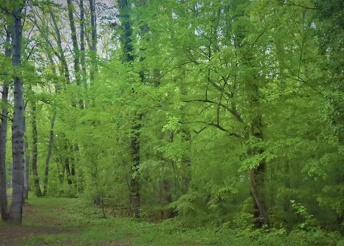 达尼简易别墅酒店
