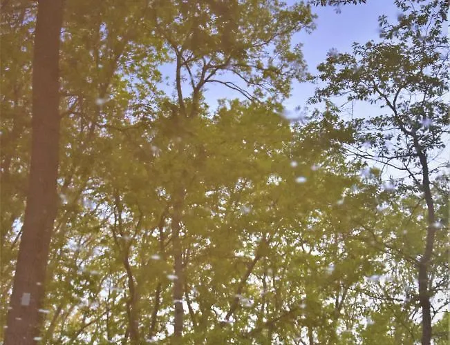 达尼简易别墅酒店